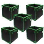 5 Gallon air pots for growing tomatoes