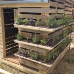 Gutter garden on shed walls