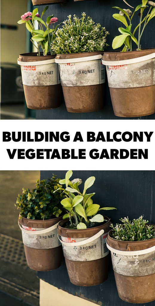 building a balcony vegetable garden