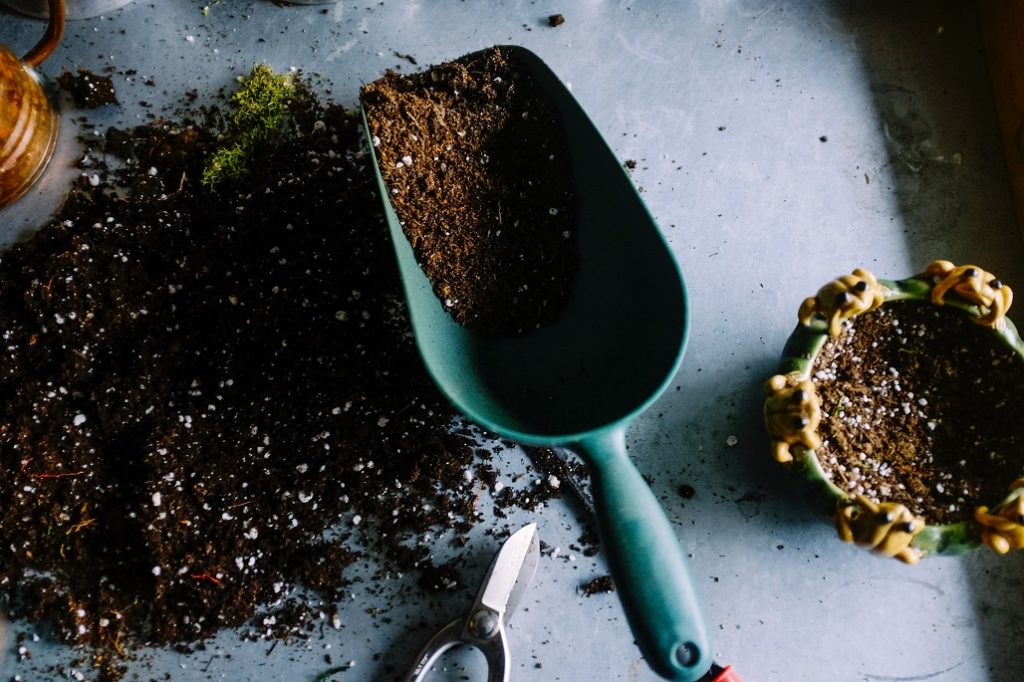 Choosing the right soil for planting herbs in pots is important.
