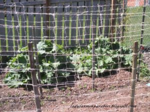 Woven pea trellis for your garden. 