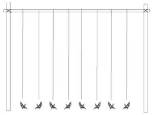 Basic frame and string trellis for peas