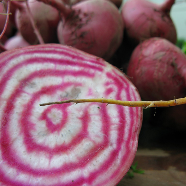 Beets are a great choice for gardening indoors!