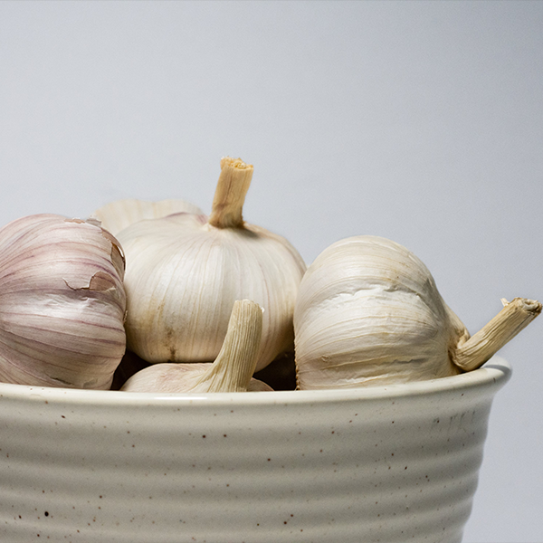 Heads of garlic