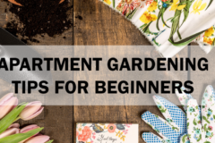apartment gardening tips
