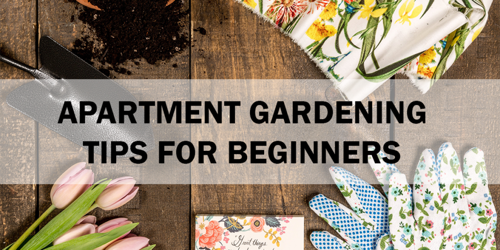 apartment gardening tips