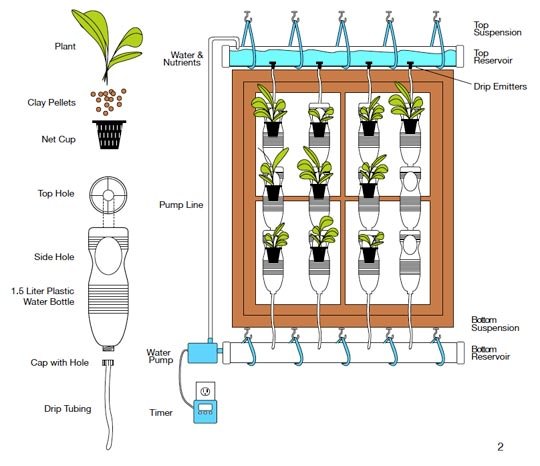 apartment gardening tip - go vertical with your garden