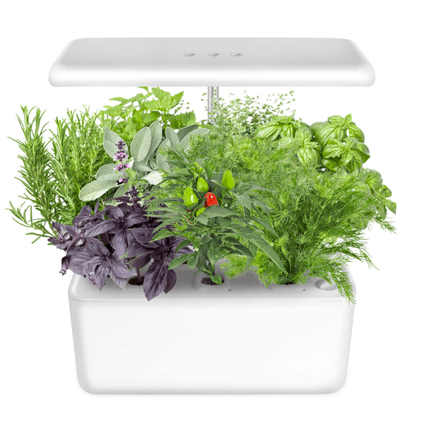 Ideer Hydroponic garden for apartments