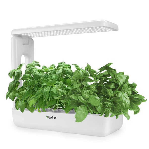 VegeBox hydroponic indoor growing kit