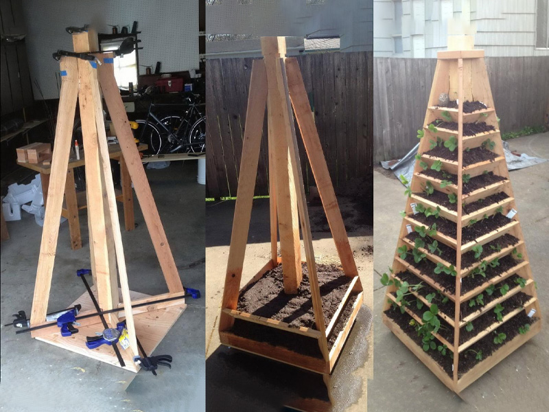 tall strawberry pyramid plans
