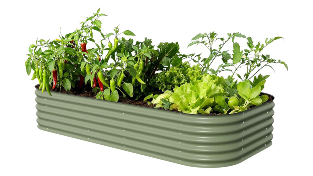 metal raised bed for growing vegetables in an urban garden. 