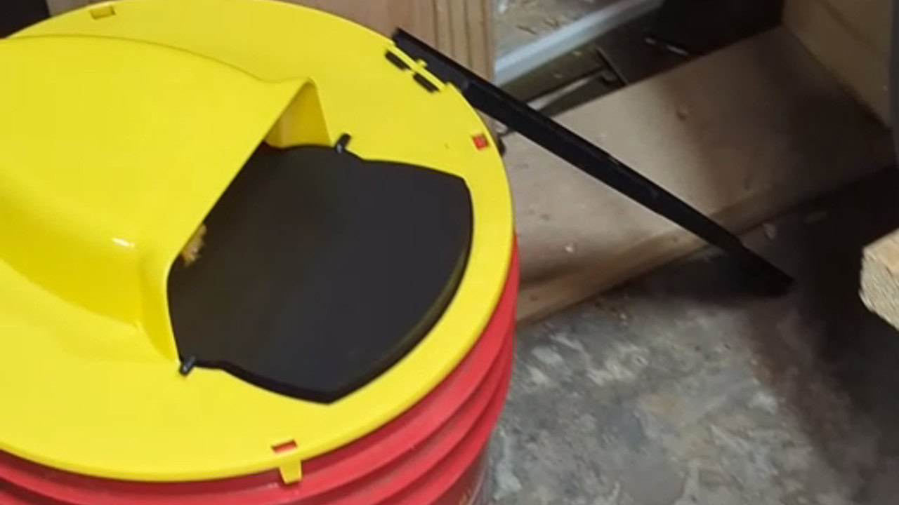 Rinnetraps Flip n Slide Mousetrap Reviewed - My Urban Garden